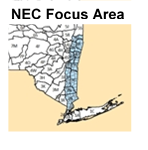 NEC Focus Area