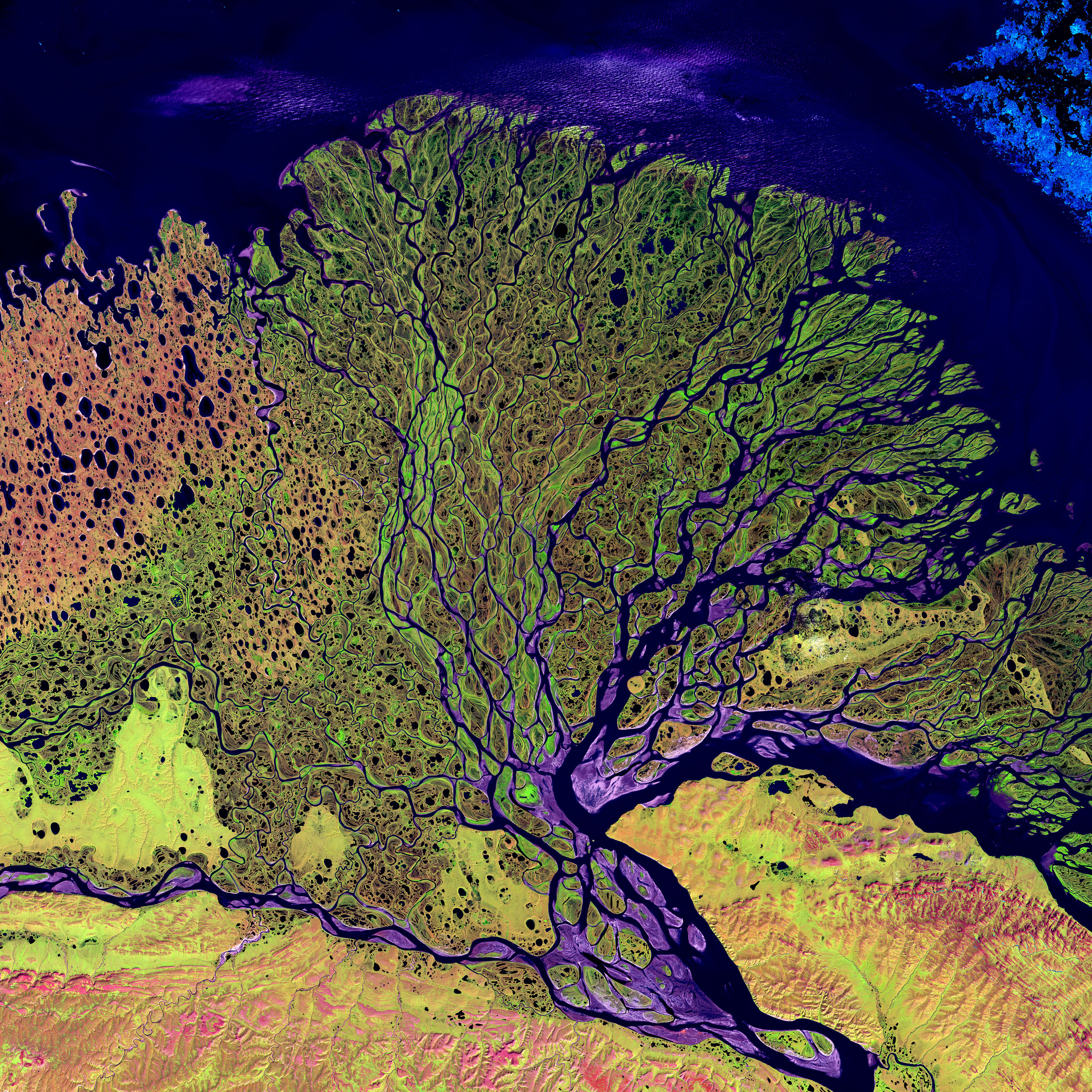http://upload.wikimedia.org/wikipedia/commons/f/fb/Lena_River_Delta_-_Landsat_2000.jpg
