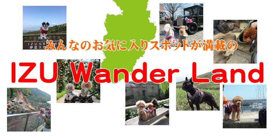 観光マップ 伊豆高原 ペットと泊まれる貸切温泉宿 マーフィ