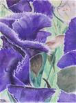 Wild Purple Flowers Renewal - Posted on Monday, April 13, 2015 by tara stephanos