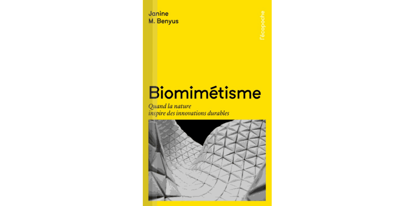 biomimicry, biomimetisme, permaculture, innovation, nature