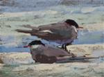 Painting the Amazing Arctic Terns - Posted on Monday, February 9, 2015 by Karen Margulis