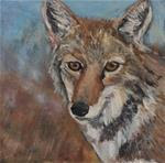 Coyote Stare - Posted on Sunday, March 1, 2015 by Wendy Malowany