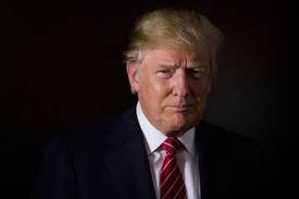 Trump Said 4 Words After Terrorist Attack In France That'll Ignite The World (Video) Trump Said 4 Words After Terrorist Attack In France That'll Ignite The World (Video)