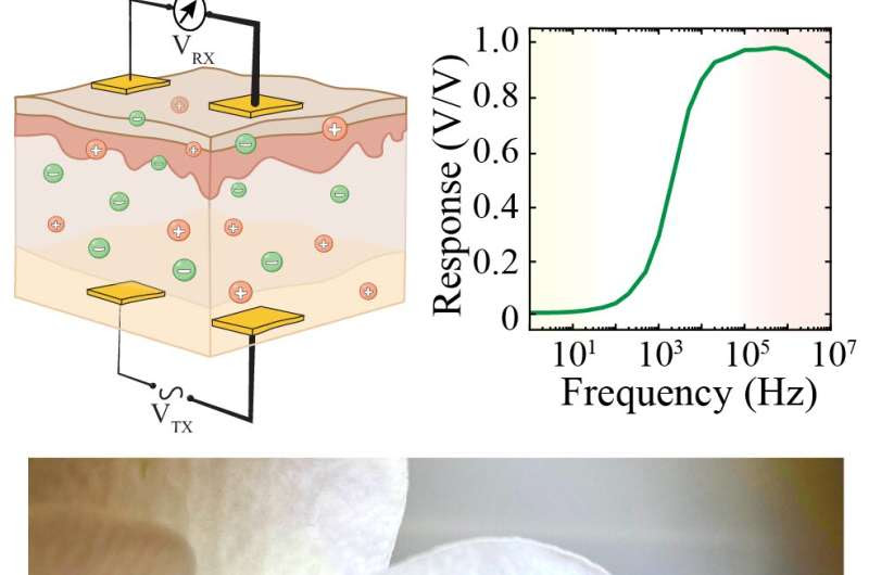 Wireless, high-speed, low-power communications for implantable devices