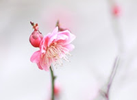 31d912fe-19aa-4ab1-a768-ee34471d24e6.jpg
