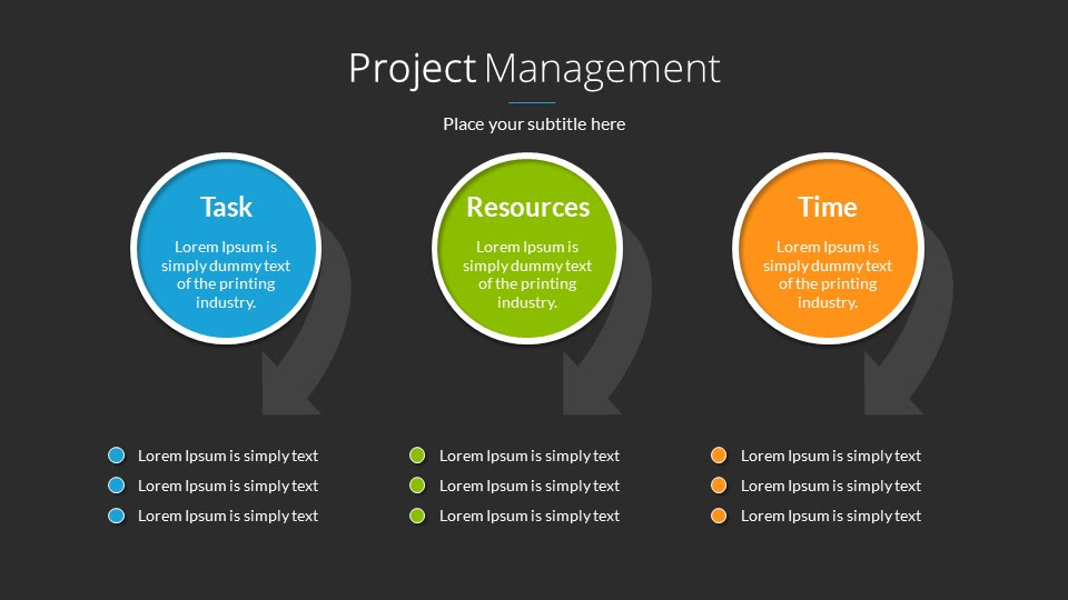 Project Management PowerPoint Presentation Template by SanaNik