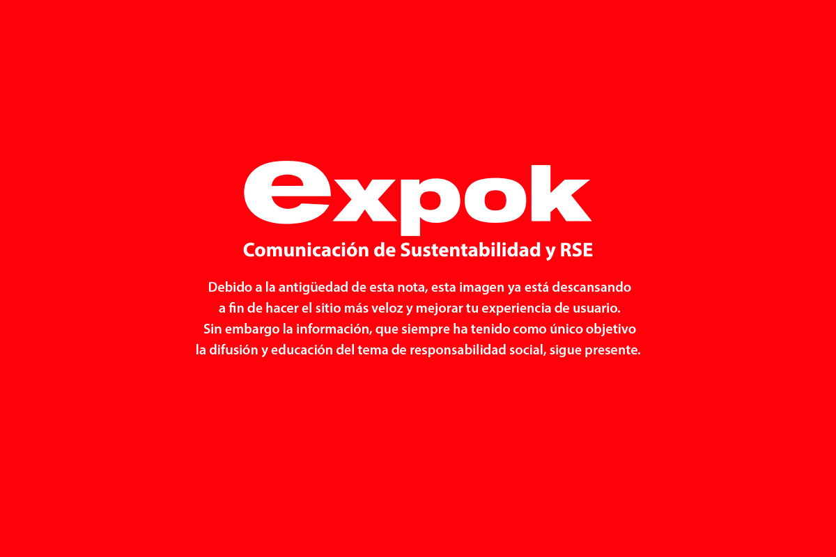Los objetivos globales de desarrollo susentable
