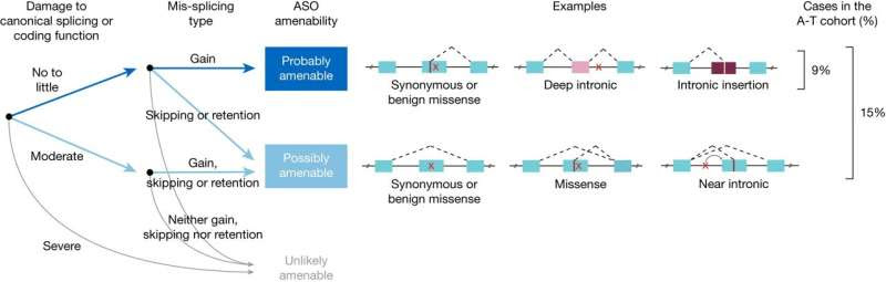 New method used to develop RNA therapy for the treatment of rare diseases