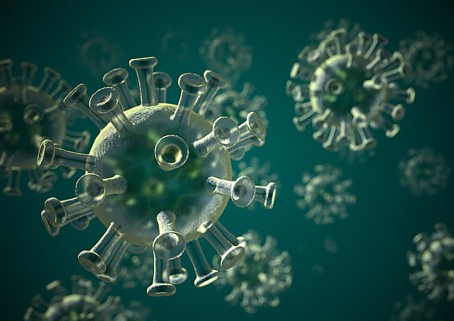 Nhiều người tin rằng virus SARS-CoV-2 (virus Corona Vũ Hán) hội tụ đầy đủ yếu tố cần thiết để cấu thành một thứ vũ khí sinh học. (Wikimedia Commons)