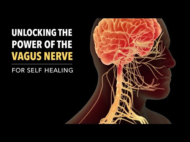 Unlocking the Power of the Vagus Nerve  Sddefault