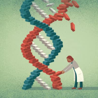 germline gene editing heritable risks