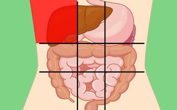 Nhờ &quot;bản đồ bụng&quot; n&#224;y m&#224; bạn sẽ biết c&#225;c cơn đau ở mỗi vị tr&#237; tr&#234;n bụng l&#224; do nguy&#234;n nh&#226;n n&#224;o g&#226;y ra