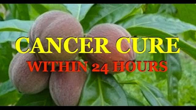 Cure Cancer in 24 Hours - Period - Now Get the Word Out (Video)