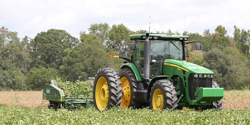 Alabama’s annual peanut production is valued at more than $200 million. (Image: Alfa)