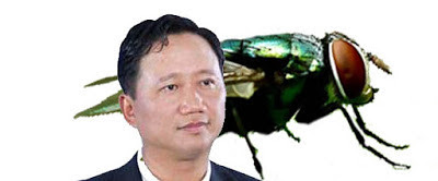 trinhxuanthanh09