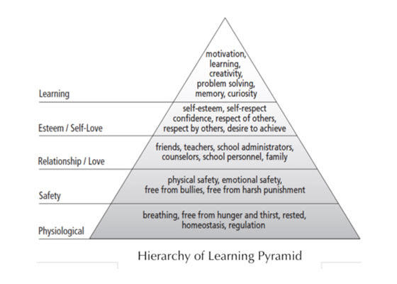 Hierarchy of Learning