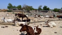 FILES-NIGERIA-SAHEL-AGRICULTURE-DROUGHT-UNREST FILES-NIGERIA-SAHEL-AGRICULTURE-DROUGHT-UNREST
