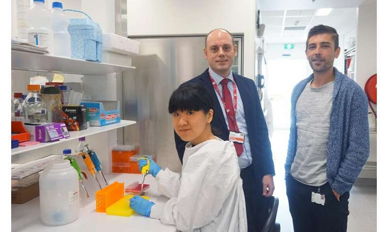 Immune cell discovery could improve the fight against hepatitis B