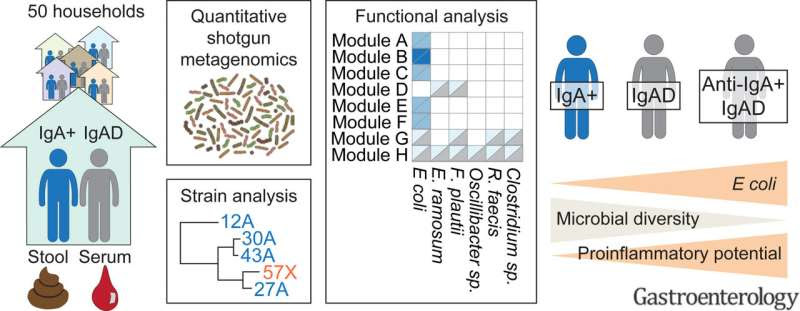 Immunodeficiency affects intestinal microbiome