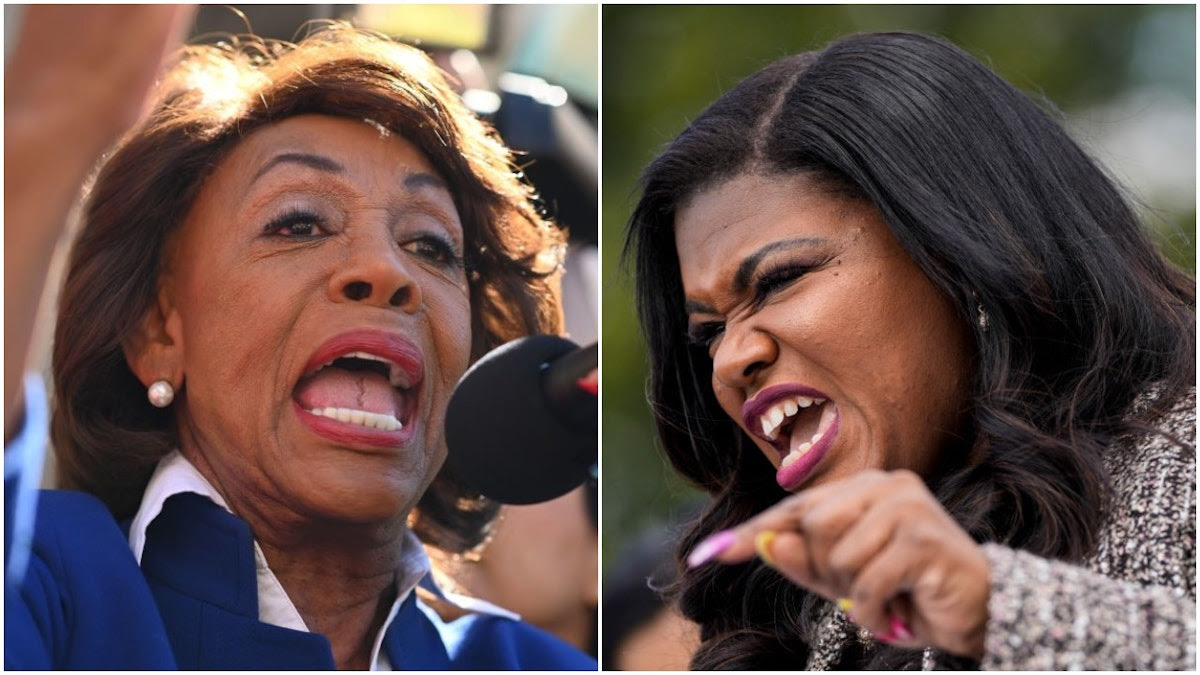 ‘Stolen Land’: Reps. Maxine Waters, Cori Bush Complain About America, Declaration Of Independence On Fourth Of July