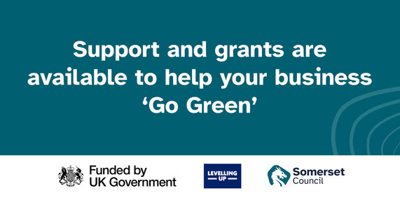 graphic for businesses to get help to go green