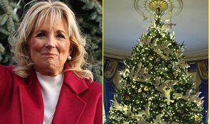 What Jill Biden Just Did To The White House For Christmas Is Something Only A Crazy ‘Cat Lady’ Would Do