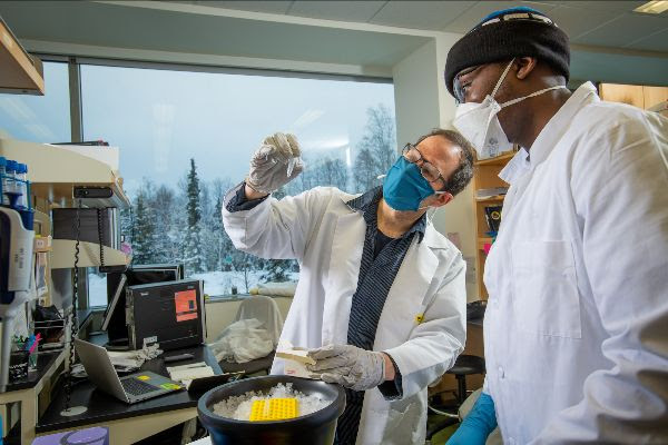 Did You Know Alaska #39 s Biomedical Research is Headquartered at UA? UA