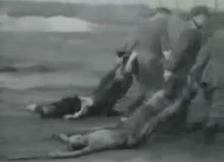 Dead bodies torn by SS men on the way to                           the mass grave 01, the clothes are NO striped                           uniforms of detainees in German ccs, and there                           are NO tattooed numbers, and there are NO                           remnants of earth on the bodies (23min.                           14sec.)