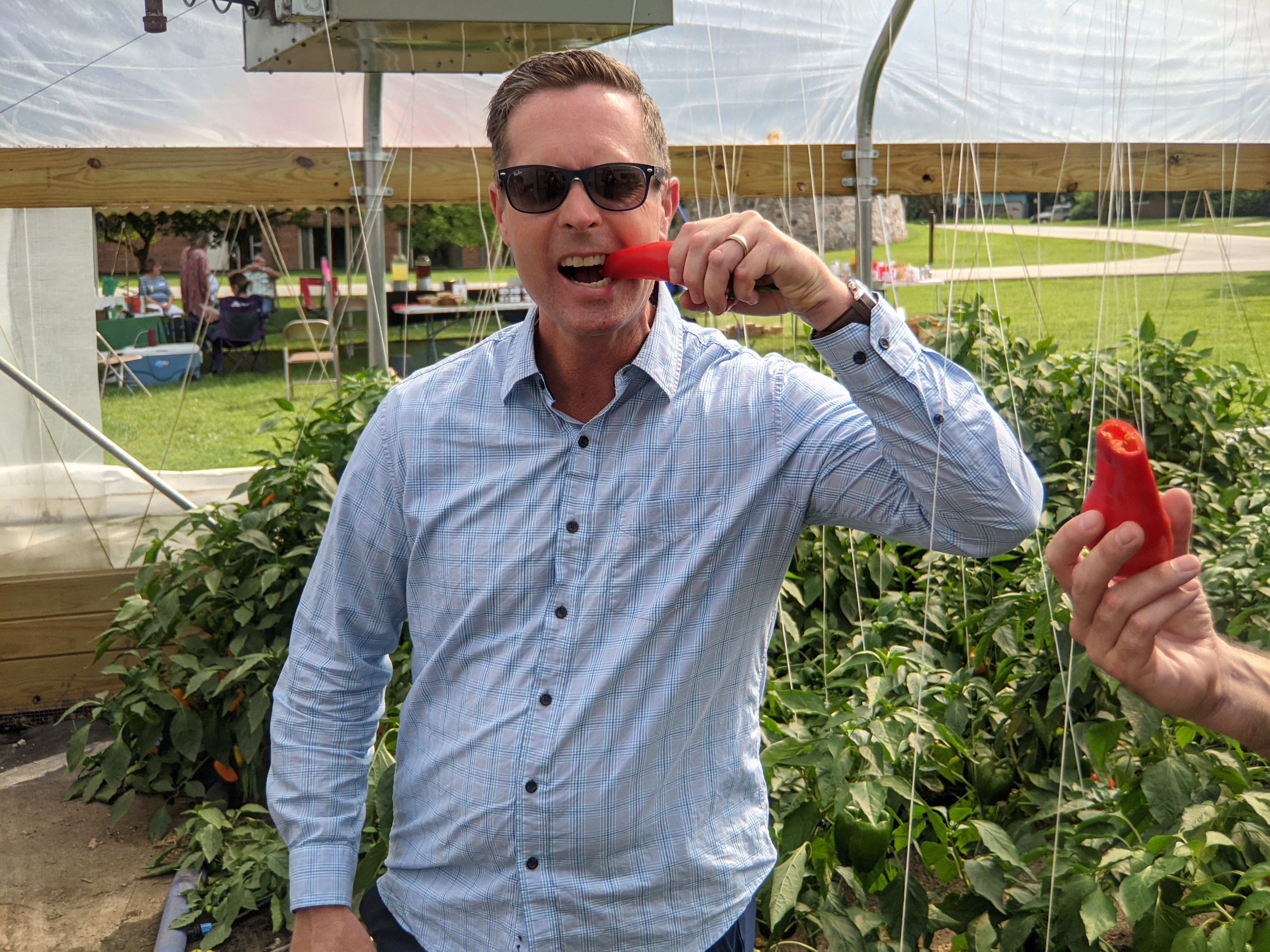 Congressman Rep. Rodney Davis take a big bit out of a red sweet pepper while inside the hoop house growing hundreds more! In sunglasses and smiling at the camera as he goes in for another bite!
