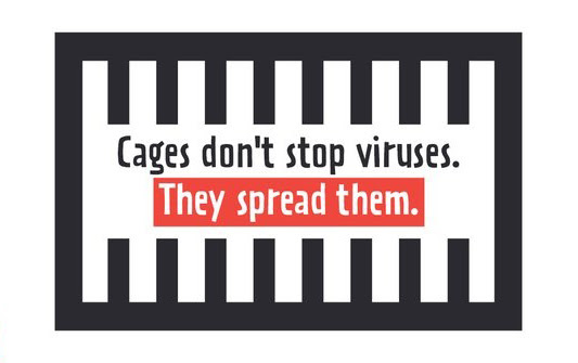 Cages don't stop viruses. They spread them.