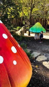 Highfield Discovery Garden Highfield Discovery Garden