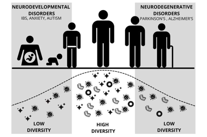 Research that potentially links autism and brain-gut microbiome