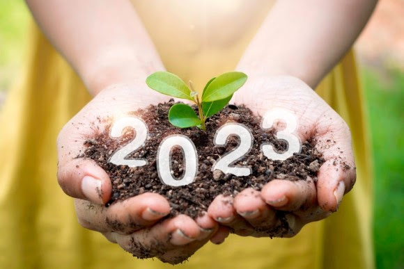 2023 hands with garden dirt