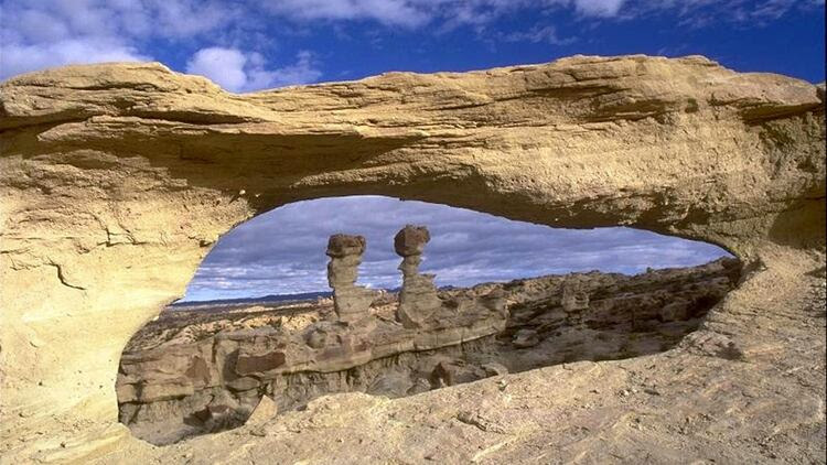 La Patagonia Argentina tiene un amplio registro paleobotánico