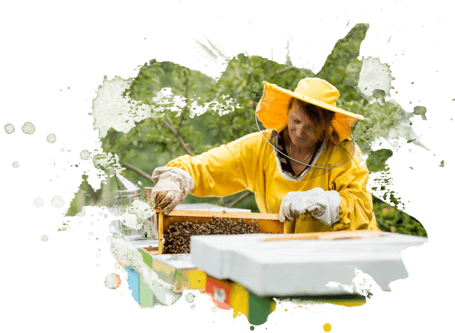 Women in yellow raincoat works with honecomb