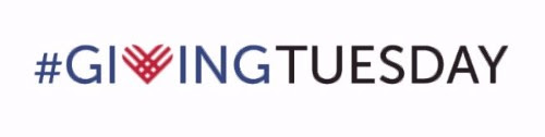 Support Rumi Forum this #GivingTuesday 