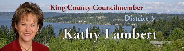 banner image showing Councilmember Kathy Lambert