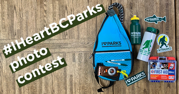 Backpack, water bottles, stickers,
                                                          and other I
                                                          Heart Parks
                                                          items