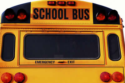 back-school-bus.jpg