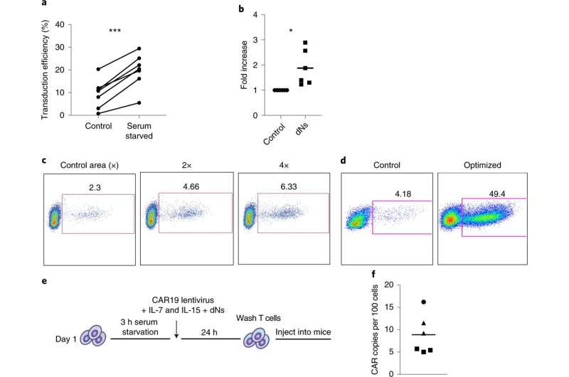 Researchers shorten manufacturing time for CAR T cell therapy