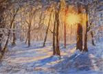 Winter Sun - Posted on Tuesday, November 11, 2014 by Ruth Mann