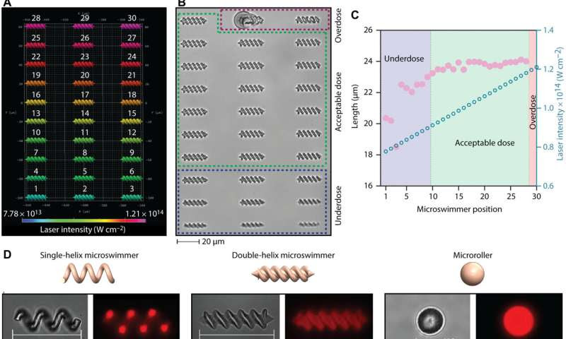 Personalized 3-D magnetic micromachines from patient blood-derived biomaterials