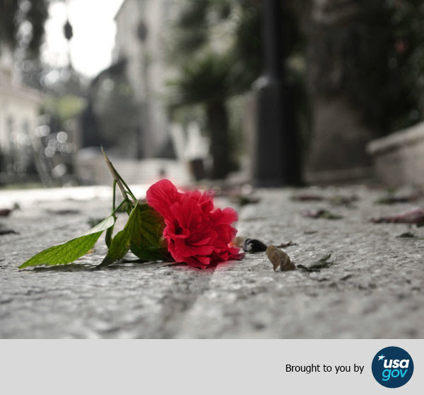 Bouquets and Bruises: This Valentine’s Day, Help Someone Experiencing Abuse