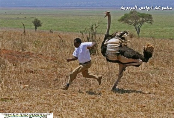 صور طريفه وغريبه