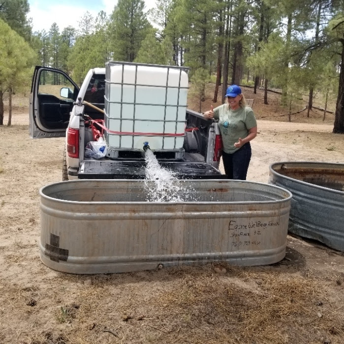 20210609 Jineane Ford helping fill troughs