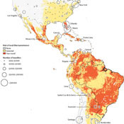 Heat map of Americas shows how Zika virus could spread from South America to the Caribbean, Mexico and the US