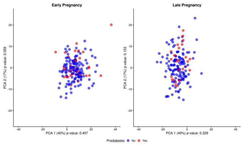 Risk of developing type 2 diabetes displayed in early pregnancy blood samples