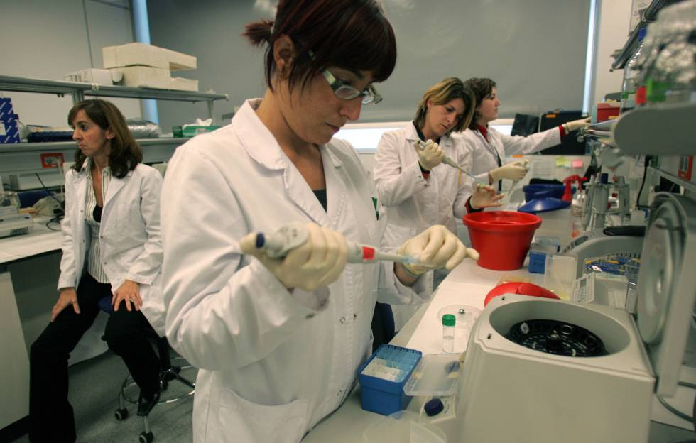 Mujeres en un laboratorio del Centro de Investigación Príncipe Felipe de Valencia.