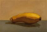 Yellow Squash - Posted on Saturday, January 24, 2015 by Jason Jenkins